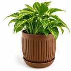 Floranza Decorative Ribbed Plant Pot with Saucer