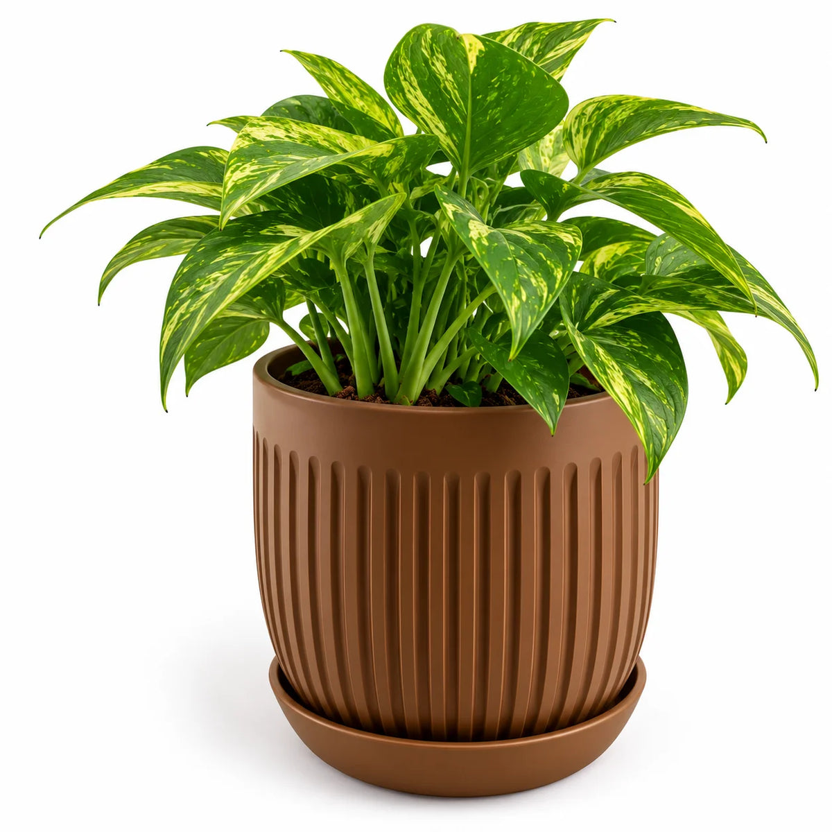 Floranza Decorative Ribbed Plant Pot with Saucer
