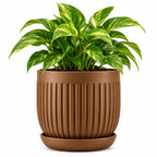 Floranza Decorative Ribbed Plant Pot with Saucer