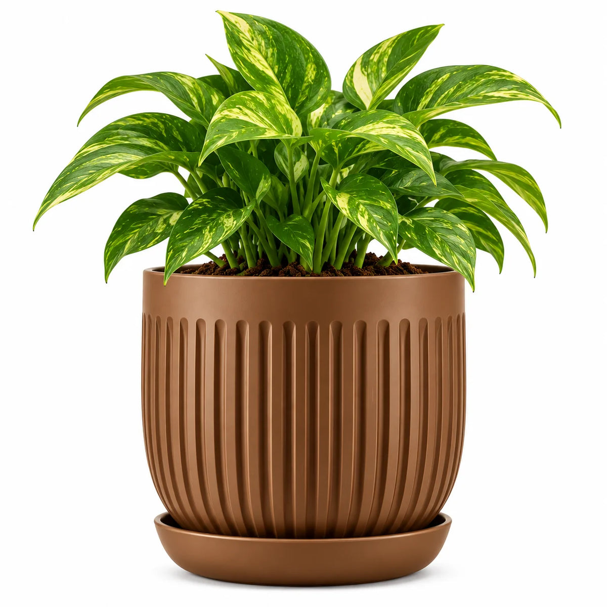 Floranza Decorative Ribbed Plant Pot with Saucer