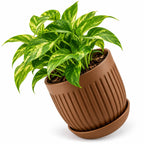 Floranza Decorative Ribbed Plant Pot with Saucer