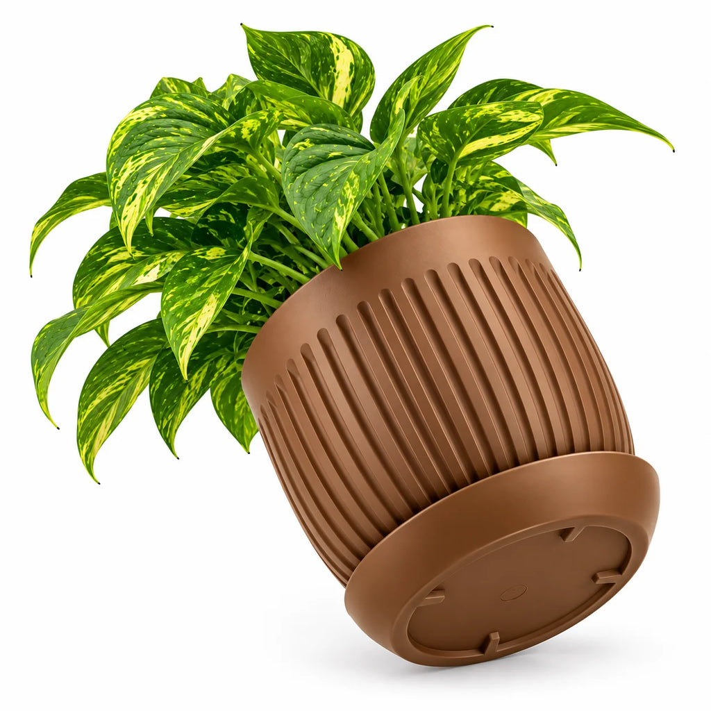 Floranza Decorative Ribbed Plant Pot with Saucer