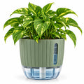 Floranza Green Self-Watering Planter with Water Level Window