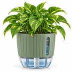 Floranza Green Self-Watering Planter with Water Level Window