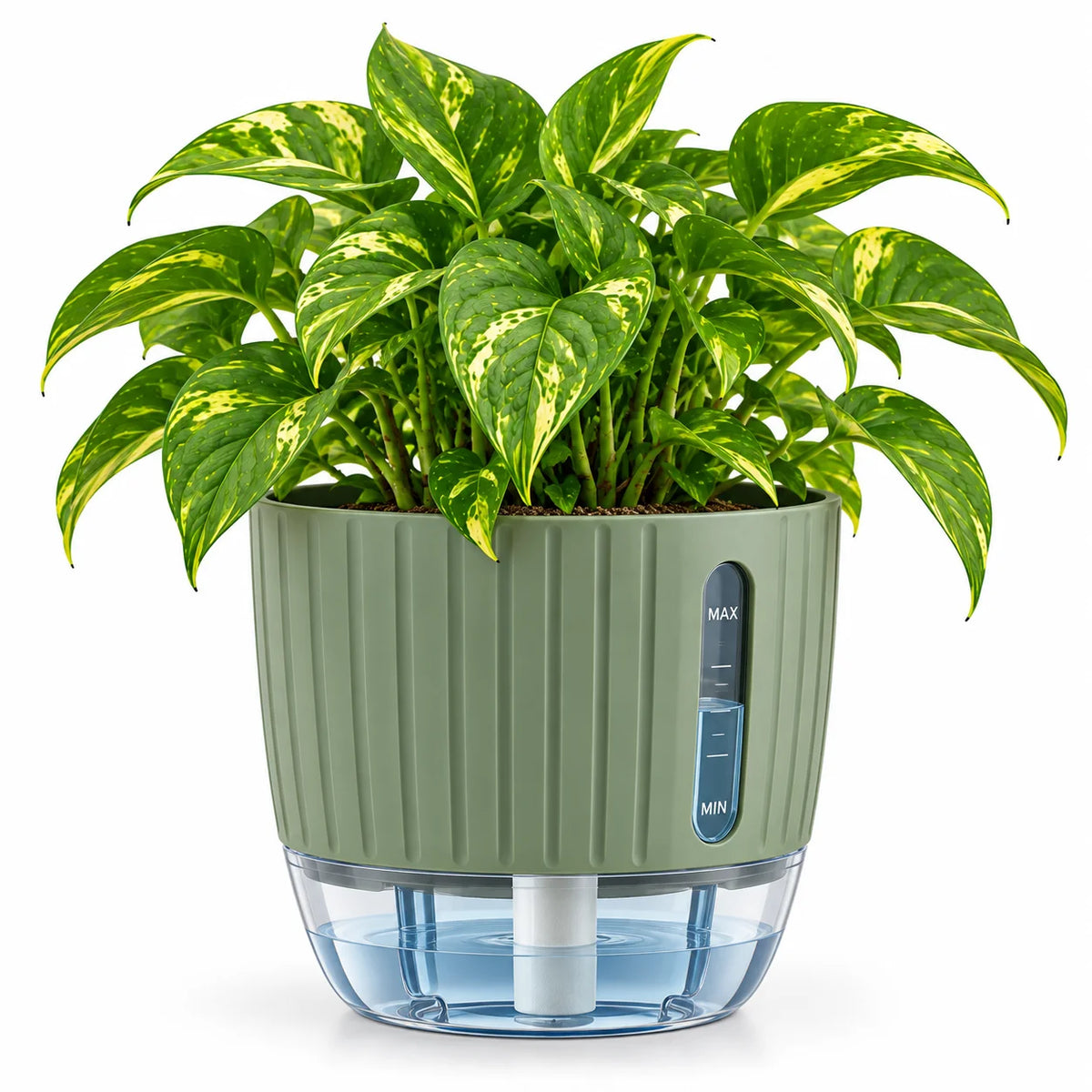 Floranza Green Self-Watering Planter with Water Level Window
