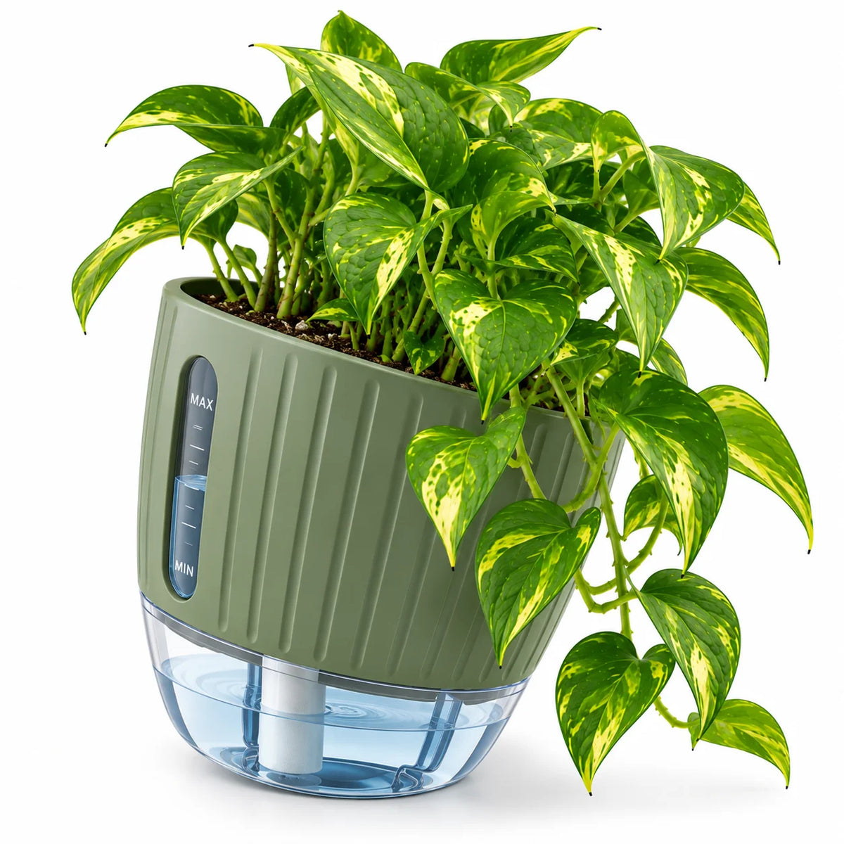 Floranza Green Self-Watering Planter with Water Level Window