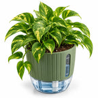 Floranza Green Self-Watering Planter with Water Level Window