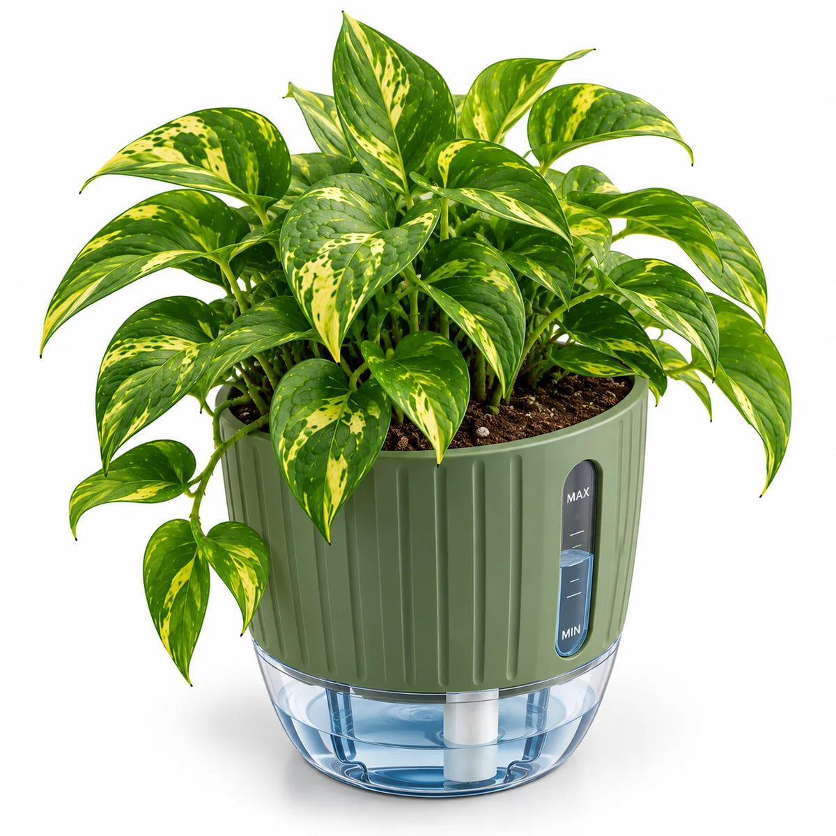 Floranza Green Self-Watering Planter with Water Level Window