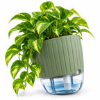 Floranza Green Self-Watering Planter with Water Level Window