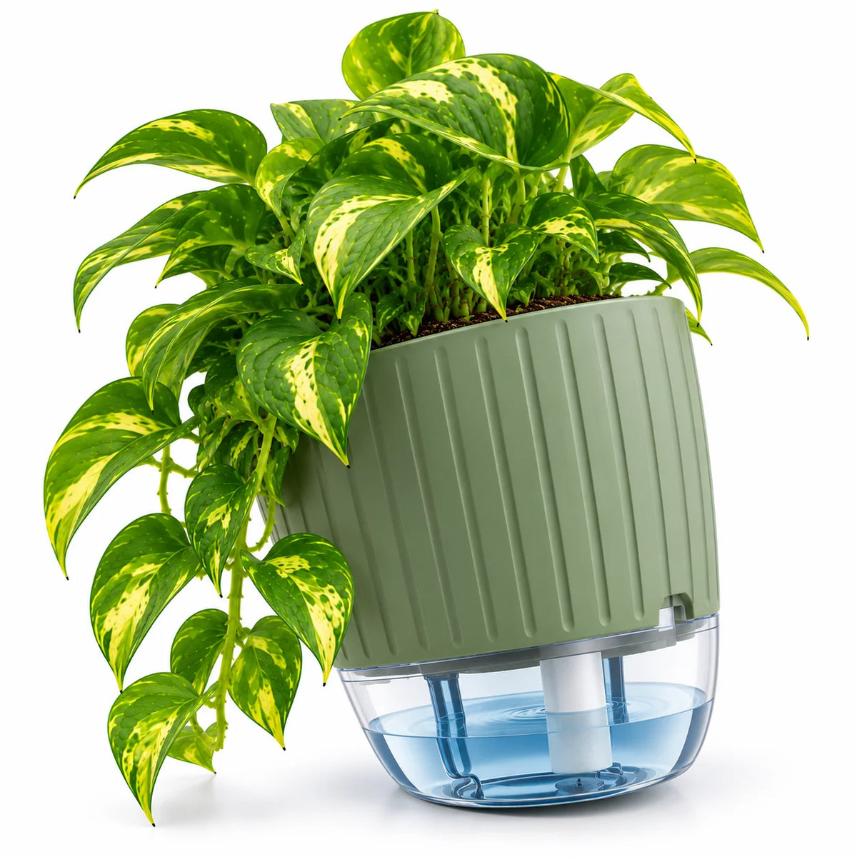 Floranza Green Self-Watering Planter with Water Level Window