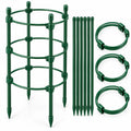 Floranza Plant Support Stakes with Ring Supports
