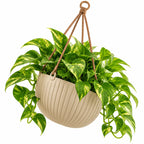 Floranza Ribbed Hanging Planter with Braided Cord Hanger
