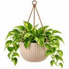 Floranza Ribbed Hanging Planter with Braided Cord Hanger